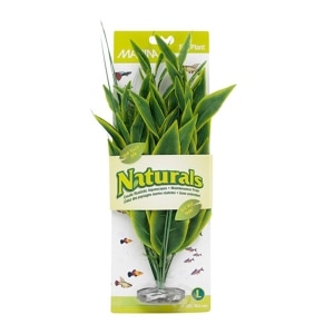 Natural Green Dracena Silk Plant