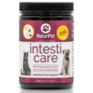 Intesti Care