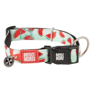 SMART ID Watermelon Dog Collar