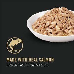 Complete Essentials Salmon & Rice Entree Cat Food