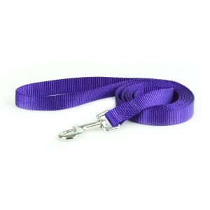 Nylon 3/8in Purple Dog Leash