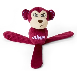 Flying Monkey Dog Toy