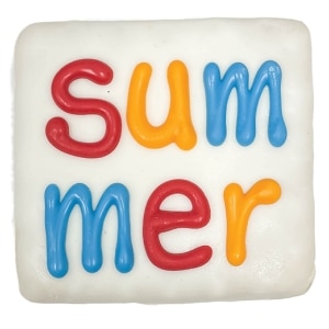 Summer Square Cookie