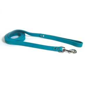 Luxe Leashes 1/2in Turquoise