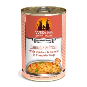 Jammin' Salmon with Chicken & Salmon in Pumpkin Soup Dog Food