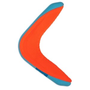 Amphibious Boomerang in Assorted Colours Dog Toy