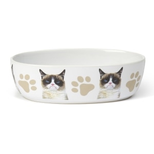 Grumpy Cat inYou Call That Food?in Bowl White