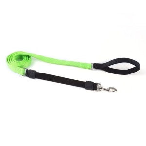 Bungee Leash 1in Lime Green