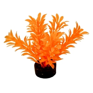 ColorBurst Florals Exotic Mini Plant - Neon Orange