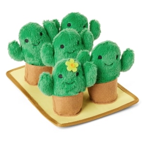 Cactus Burrow Dog Toy