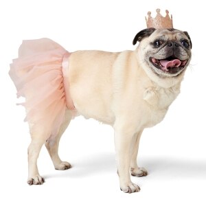 Princess Pink Halloween Dog Costume