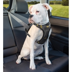 Impact Car Harness for Dogs