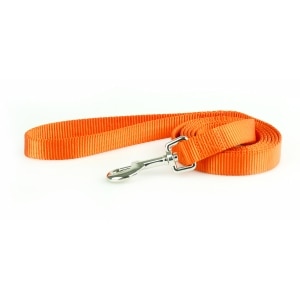 Nylon 3/8in Orange Dog Leash