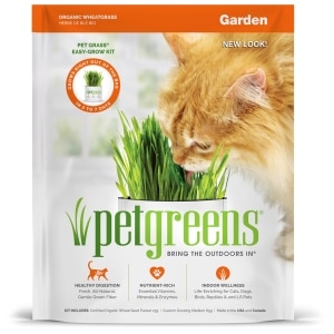 Pet Grass Self-Grow Kit Garden