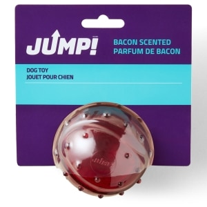 Bacon Scented Ball Dog Toy