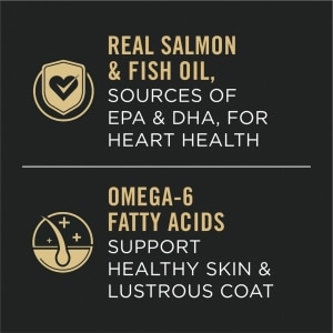 Specialized Sensitive Skin & Stomach Salmon & Rice Formula Adult Dog Food