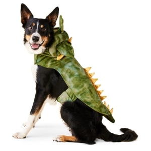 Dino Green Halloween Costume