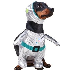 Silver Astronaut Costume Set