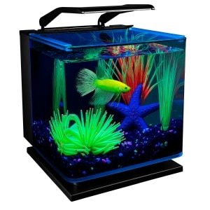 3 Gallon Betta Aquarium Kit