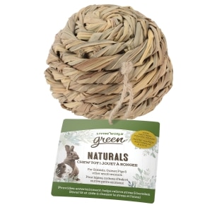 Naturals Chew Ball Small Animal Toy