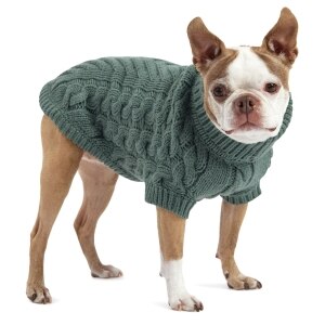 Chalet Sage Green Sweater