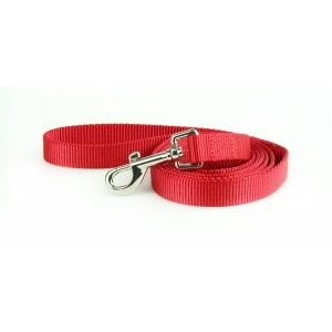 Nylon 3/8in Red Dog Leash