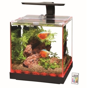 Edgelit Rimless Cube Glass Aquarium