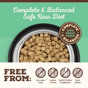 Freeze-Dried Raw Pronto Chicken Recipe Adult Dog Food