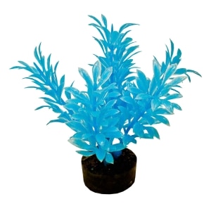 ColorBurst Florals Exotic Mini Plant - Neon Blue