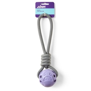 Ball on a Rope Purple Dog Toy