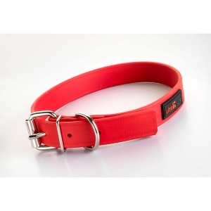 Play Collar 1 Inch Red