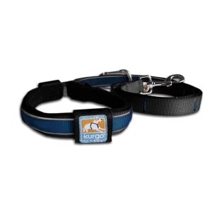 Reflect & Protect Quantum Reflective 6-in-1 Dog Leash 6 Feet Blue