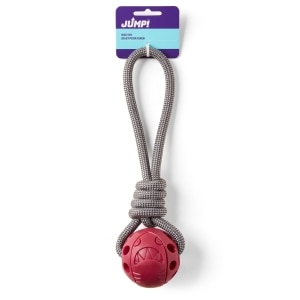 Ball on a Rope Red Dog Toy