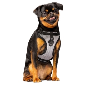 The Everything Mesh Dog Harness Reflective