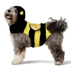 Bee Yellow Halloween Dog Costume