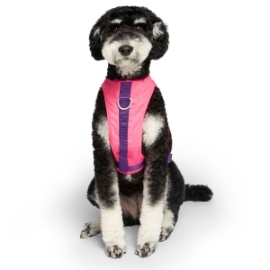 Chill Seeker Neon Pink Cooling Harness