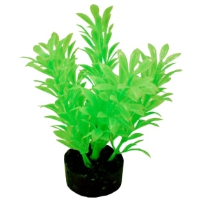 ColorBurst Florals Exotic Mini Plant - Neon Green