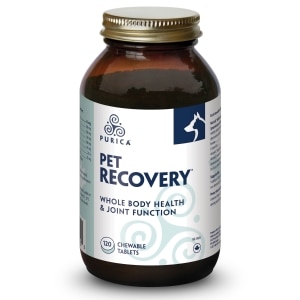 Pet Recovery Whole Body Health & Joint Function Chewable Tablets