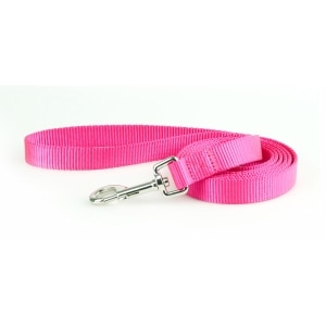 Nylon 1in Pink Dog Leash