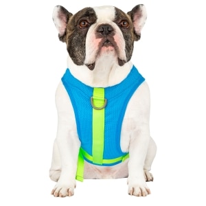 Chill Seeker Blue Cooling Harness