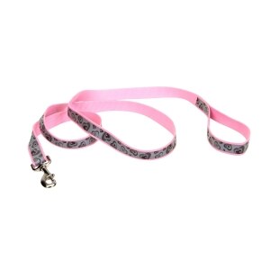 Lazer Brite Reflective Nylon Dog Leash 1in - Pink New Hearts