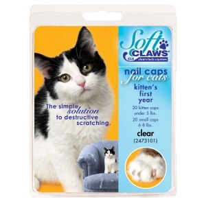Kitten Nail Caps Take Home Kit Clear