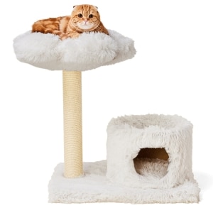 Delilah Cat Tree with Condo