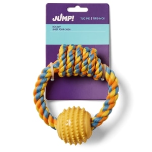 Rope Ring with Ball Dog Toy