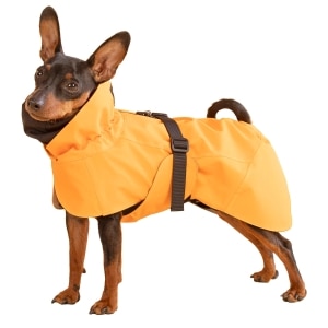 Recovery Orange Raincoat