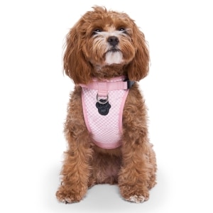 Barbie Everything Checkered Dog Harness