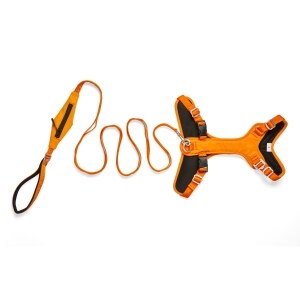 Visibility Dog Harness Orange