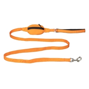 Visibility Dog Leash Orange