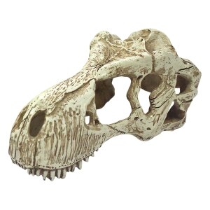 T-Rex Skull