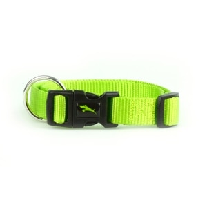 Nylon Adjustable Lime Green Dog Collar
